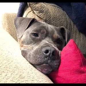 Meet your Posher, Mario